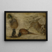 Studie af aber, en hjort og andre dyr - Jan Brueghel den Yngre — indrammet kunstværk på væggen