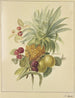 En ananas, blommer og hindbær - Jan Evert Morel — visning af kunstværket