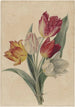 Bouquet de tulipes - Jan Jacob Goteling Vinnis — visning af kunstværket