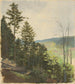 Scrub Hill - Jan Nowopack — visning af kunstværket