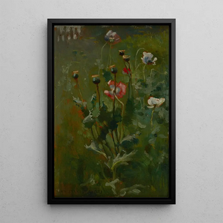 Jan Stanislawski - Poppies in Bloom.webp