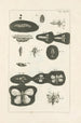 Le livre de la nature ou L'histoire des insectes Pl37 - Jan Swammerdam — visning af kunstværket