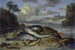 Kunstryk af naturtro med fisk og marine dyr i et kystlandskab - Jan van Kessel den Ældre — visning af kunstværket