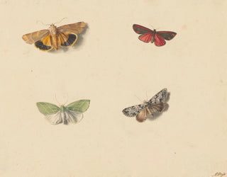 Jan Weissenbruch - Vier vlinders.webp