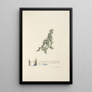 Jane Elizabeth Giraud - Juniper.webp