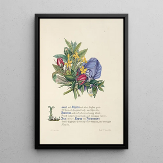 Jane Elizabeth Giraud - Laurel and myrtle.webp