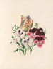 La fête des fleurs Pl03 - Jane Elizabeth Giraud — visning af kunstværket