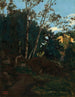Bosquet d’arbres parmi les rochers, Civita Castellana - Jean - Baptiste Camille Corot — visning af kunstværket
