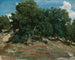 Fontainebleau-asketræerne ved BasBrau - Jean-Baptiste-Camille Corot — visning af kunstværket