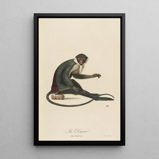 JeanBaptiste Audebert - La Diane.webp