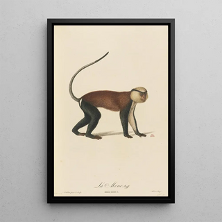 JeanBaptiste Audebert - La Mone.webp