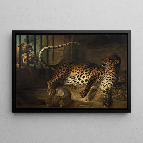 Leopard i bur konfronteret med to mastiffs - Jean-Baptiste Oudry — indrammet kunstværk på væggen