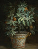 Loranger - Jean-Baptiste Oudry — visning af kunstværket