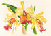 Cattleya aurea - Jean Jules Linden — visning af kunstværket