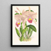 Cattleya Trianae - Jean Jules Linden — indrammet kunstværk på væggen