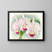 Cattleya trianae var. Martin Cahuzac - Jean Jules Linden — indrammet kunstværk på væggen