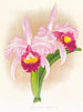 Cattleya Trianae var purpurata - Jean Jules Linden — visning af kunstværket