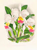 Cattleya kimballiana - Jean Jules Linden — visning af kunstværket