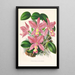 Cattleya nobilior - Jean Jules Linden — indrammet kunstværk på væggen