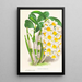 Dendrobium thyrsiflorum - Jean Jules Linden — indrammet kunstværk på væggen