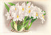 Odontoglossum alexandrae - Jean Jules Linden — visning af kunstværket