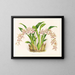 Odontoglossum lucianianum - Jean Jules Linden — indrammet kunstværk på væggen