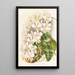 Phalaenopsis Stuartiana - Jean Jules Linden — indrammet kunstværk på væggen