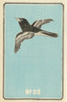 Katalog over daglige granater No 32 - Jinta Hirayama — visning af kunstværket