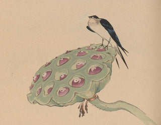 Hogajo Pl11 - Jiro Takeuchi — visning af kunstværket