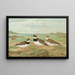 Charadrius hiaticula - Johann Friedrich Naumann — indrammet kunstværk på væggen