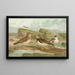 Charadrius morinellus Arenaria interpres Charadrius alexandrinus - Johann Friedrich Naumann — indrammet kunstværk på væggen