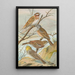 Emberiza leucocephala Gmel Emberiza cia Emberiza cinerea Strickl - Johann Friedrich Naumann — indrammet kunstværk på væggen