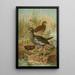 Gallinula chloropus - Johann Friedrich Naumann — indrammet kunstværk på væggen