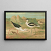 Himantopus himantopus Recurvirostra avocetta - Johann Friedrich Naumann — indrammet kunstværk på væggen