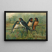 Hirundo rustica Hirundo rustica Savignii - Johann Friedrich Naumann — indrammet kunstværk på væggen