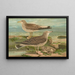 Larus canus Larus argentatus Brunn - Johann Friedrich Naumann — indrammet kunstværk på væggen