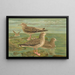 Larus fuscus Larus marinus Larus glaucus Brünn - Johann Friedrich Naumann — indrammet kunstværk på væggen