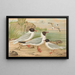 Larus minutus Pall, Larus ridibundus, Larus melanocephalus, Natt, Larus minutus Pall - Johann Friedrich Naumann — indrammet kunstværk på væggen