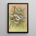 Parus coeruleus Aegithalus caudatus caudatus vagans caudatus Irbyi Parus cyanus Pall - Johann Friedrich Naumann — indrammet kunstværk på væggen