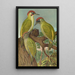 Picus viridis - Johann Friedrich Naumann — indrammet kunstværk på væggen