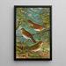 Turdus fuscescens Turdus pallassii Turdus swainsonii - Johann Friedrich Naumann — indrammet kunstværk på væggen