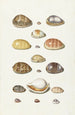 porcelænshelled - Johann Gustav Hoch — visning af kunstværket