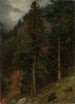 Reproduktion af maleriet Pente dans la forêt de sapins - Johann Wilhelm Schirmer
