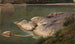 Rive rocheuse - Johann Wilhelm Schirmer — visning af kunstværket