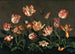 Naturtro med tulipaner - Johannes Bosschaert — visning af kunstværket