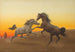 arabiske hingste ved solnedgang - John Alexander Harrington Bird — visning af kunstværket