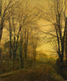 Oktober efter gløden - John Atkinson Grimshaw — visning af kunstværket