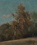 Studie af en asketræ - John Constable — visning af kunstværket