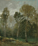 Vue d'un bosquet - John Constable — visning af kunstværket