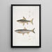 Carpe de Hamilton Cyprinus Bangana Hamiltonii Størrelse 1:1 Carpe Goha Cyprinus Leuciscus Goha - John Edward Gray — indrammet kunstværk på væggen